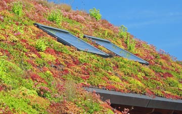 South Garvan living roof systems